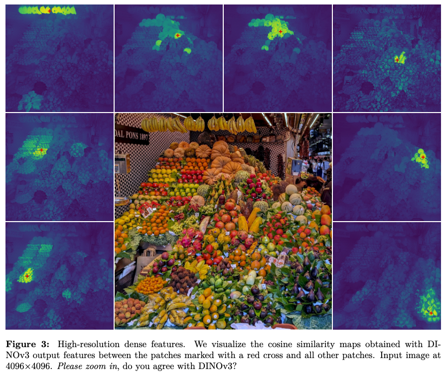 DINOv3_dense_features